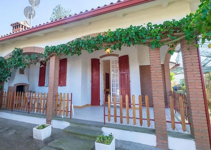 Azzurra 1- By Interhome Lido delle Nazioni